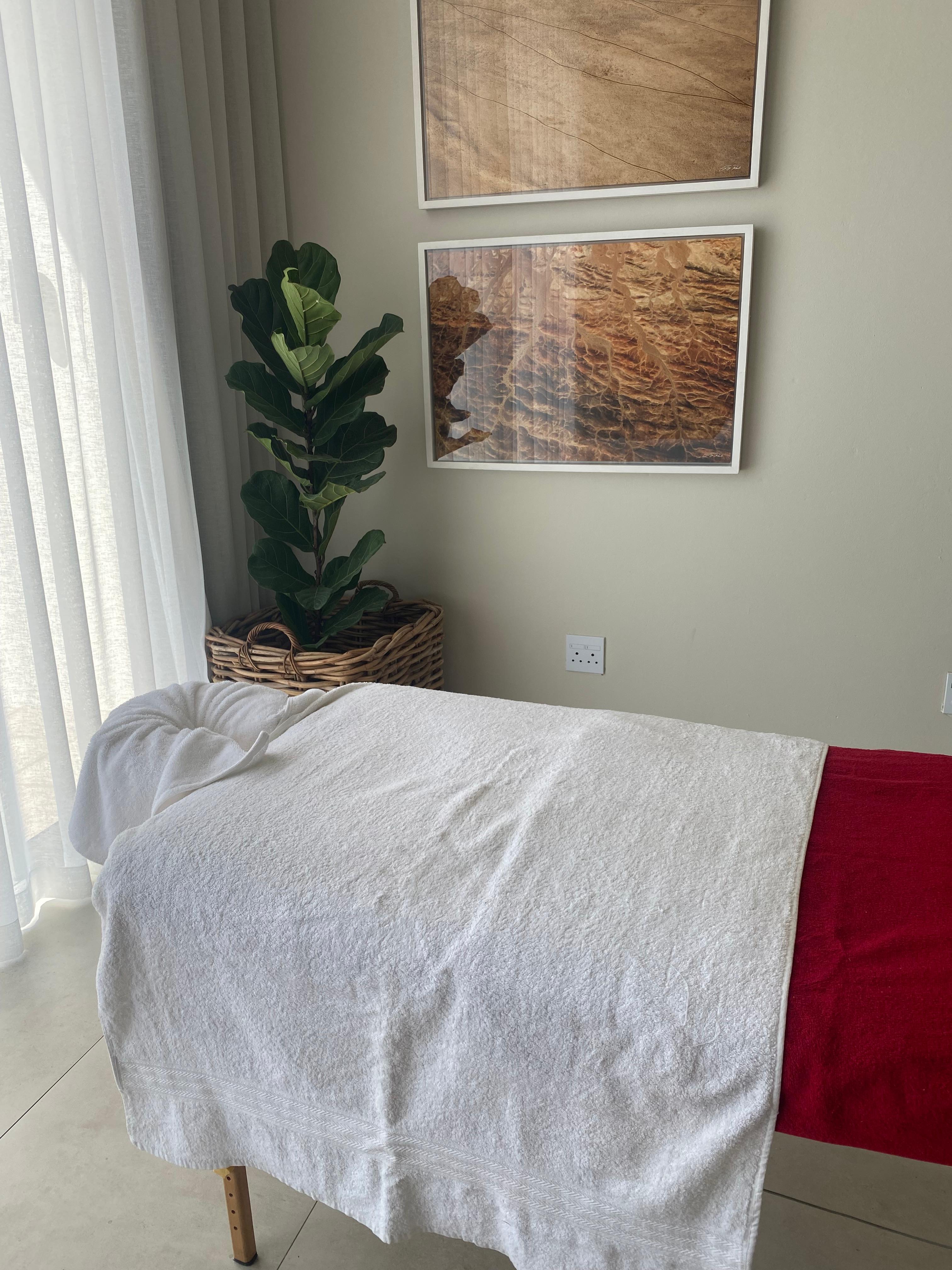 Luxury mobile spa setup in a client's home